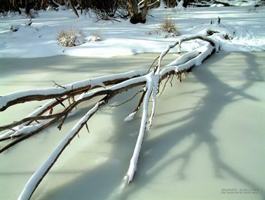 On Frozen Pond, Dinner Plains, Victoria